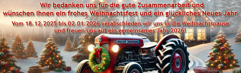 Frohe Weihnachten und ein glückliches Neues Jahr!