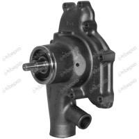 Wasserpumpe für Massey Ferguson 1250 24 27 530 530S 750 810 - 70992422 747570M91