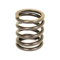 Ventilfeder für Landini 7830 Challenger MT434 Massey Ferguson 265 425 Brazilian