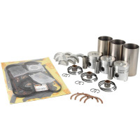 Motorüberholsatz für Fiat 450R 466 470 - 1900691 1901609 1901803 1902021 1930069