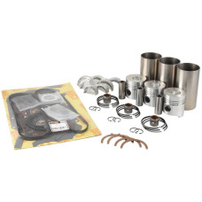 Motorüberholsatz für Fiat 450R 466 470 - 1900691 1901609 1901803 1902021 1930069