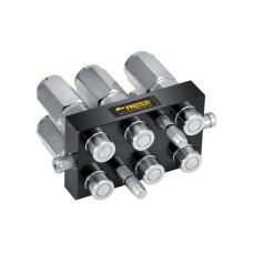 Faster Multikupplung Muffe -  Innen - 1/2'' BSP -  2P608 Baureihe