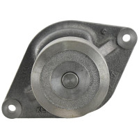 Wasserpumpe für Case IH MAXXUM PUMA Ford / New Holland T1804 T7070 Steyr CVT