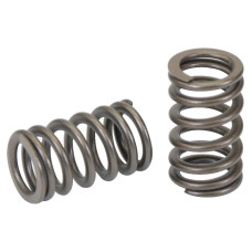 2x Ventilfeder Ersatz für Case IH  Ford / New Holland 2831473, 4895073, 6901089