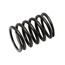 2x Ventilfeder Ersatz für Case IH  Ford / New Holland 2831473, 4895073, 6901089