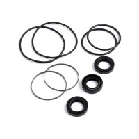 Dichtungssatz Lenkung für Allis Chalmers 5040 5045 White Oliver 1255 1265 1270 