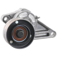 INA Spannrolle für John Deere 6100, 6100SE, 6200, 6200SE, 6300, 6300SE, 6400, 6400SE, 6506