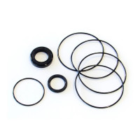 Trale Orbitalmotor Dichtungskit OMM Ersatz für Danfoss 151G0202