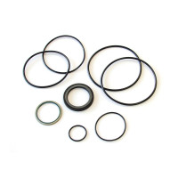 Trale Orbitalmotor Dichtungskit OMH