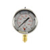 Hydraulik Test Manometer Ø63mm (0-250 Bar)