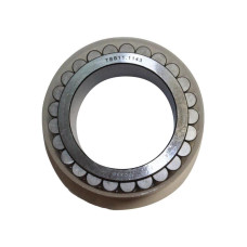 Lager Planetenrad für Massey Ferguson 6497, 6499, 8240, 8250 - 3789656M1