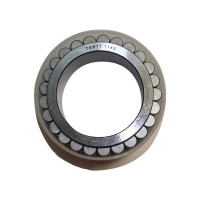 Lager Planetenrad für Massey Ferguson 6497, 6499, 8240, 8250 - 3789656M1