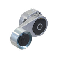 Spannrolle für Fendt 309 310 312 512 514 714 716 719 722 724 VARIO F836200040240