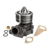 Wasserpumpe für Valmet / Valtra T133 T142 T152 T160 T163E T172 T180 T190 T202 T213