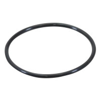 Thermostatdichtung für Massey Ferguson 275 290 1004 5410 5435 6445 6470 8925 8947