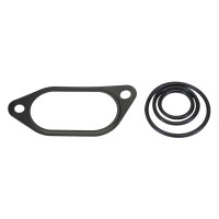 Dichtungssatz Hydraulikpumpe für Massey Ferguson 7619 7620 7626 7719 7724 DYNA 6