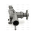 Wasserpumpe für Bolens G152 G154 G174 Iseki TX Mitsubishi MT S370  Satoh MT S630