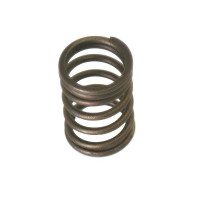 Ventilfeder innen für Landini 6560 8880 Massey Ferguson 1014 3095 6180 6290 8220