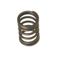 Ventilfeder innen für Landini 6560 8880 Massey Ferguson 1014 3095 6180 6290 8220