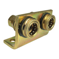 Hydraulik Abreisshalterung Satz Doppelt NW10