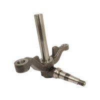 Achsschenkel für Deutz-Fahr D 10006 D 5506 D 6006 D 6206 D 6207 D 6507 D 6806