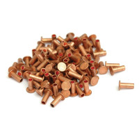 100x Nieten Bremse für Deutz-Fahr D15 D8005 D8006 D8606 D9005 D10006 D12006 D13006