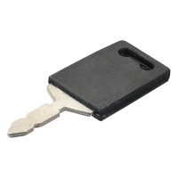 Zündschlüssel für Case IH FARMALL QUANTUM Ford / New Holland TD TK TN TW Landini