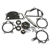 Wasserpumpen-Reparatursatz für Massey Ferguson 50 60 165 240 384 565 590 690