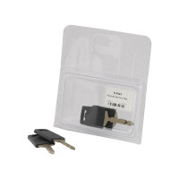 2x Zündschlüssel für Ford / New Holland 2000 4110 5000  650 6810 7000 8600 9700 TW5