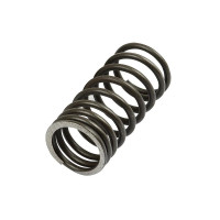 10x Ventilfeder innen für Landini 6500 9880 Massey Ferguson 165 375 690 3080 6000