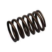 10x Ventilfeder für Fordson Dexta Super Dexta Massey Ferguson 35 133 240 355 550