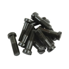 Schraubensatz Tellerrad für Massey Ferguson TEA20 TEF20 135 340 590 1250 3080 6120