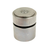 Kolben für Zylinder für Massey Ferguson 133 135 140 152 165 20F 230 245 265 550