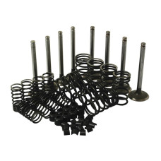 Ventil-Reparatursatz für Landini 6530 8550 Massey Ferguson 50 165 275 690 A4.212 A4.236 Ventil-Reparatursatz für Landini 6530 8550 Massey Ferguson 50 165 275 690 A4.212 A4.236
