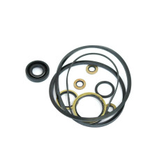 Dichtsatz Hydraulik für Massey Ferguson 20 35 35C 135 148 2500 4500 - 1810529M91