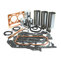 Motorüberholsatz für Allis Chalmers 160 6040 Massey Ferguson 135 205 230 235 AD3.152 (CE)