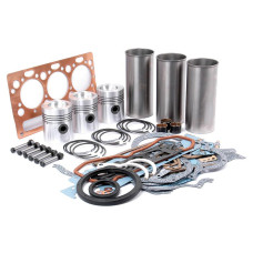 Motorüberholsatz für Landini 5500 5840 Massey Ferguson 135 148 254 255 550 AD3.152 (CE)