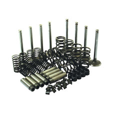 Ventil Rep. Satz für Massey Ferguson 50C 60H 175 178 185 188 255 275 290 390 590 690 Ventil Rep. Satz für Massey Ferguson 50C 60H 175 178 185 188 255 275 290 390 590 690