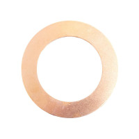 Sicherungsblech Planetengetriebe  für Massey Ferguson 135 165 250 375 690 TED20 TEF20