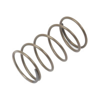 Getriebefeder für Massey Ferguson 20 30 35 133 155 175 255 375 390 550 575 590 690