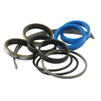 Dichtsatz Lenkhilfe für Massey Ferguson 3075 3080 3120 3645 3690 6150 8120 8160