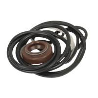 Dichtsatz Hydraulikpumpe Lenkung für Massey Ferguson 527904M93 773126M92 S.43692
