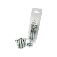 10x Abscherbolzen,  M8 x 60mm