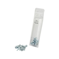 20x Flanschbolzen, Größe: M6 x 20mm