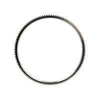 Zahnkranz für Case IH 454 553 644 654 724 743XL 745 844XL 845XL 1046 1246 2400