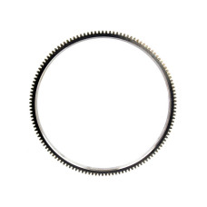 Zahnkranz für Case IH 454 553 644 654 724 743XL 745 844XL 845XL 1046 1246 2400