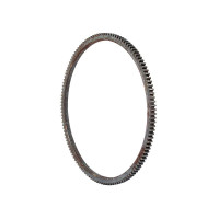 Zahnkranz für Case IH 268 288 4230 4240 685 695 785 795 884 885XL 895XL 995XL