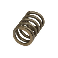 Ventilfeder - Innen/Auspuff für Case IH / International Harvester 1046, 1055, 1055XL