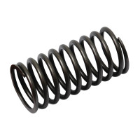 Ventilfeder aussen für Case IH 238 2424 3434 364 374 384 414 424 434 444 B414