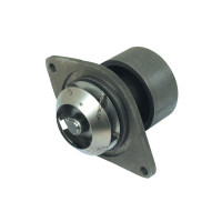 Wasserpumpe für Case IH 580 1644 2144 5150 MX100-MX170 McCormick MTX110-MTX175